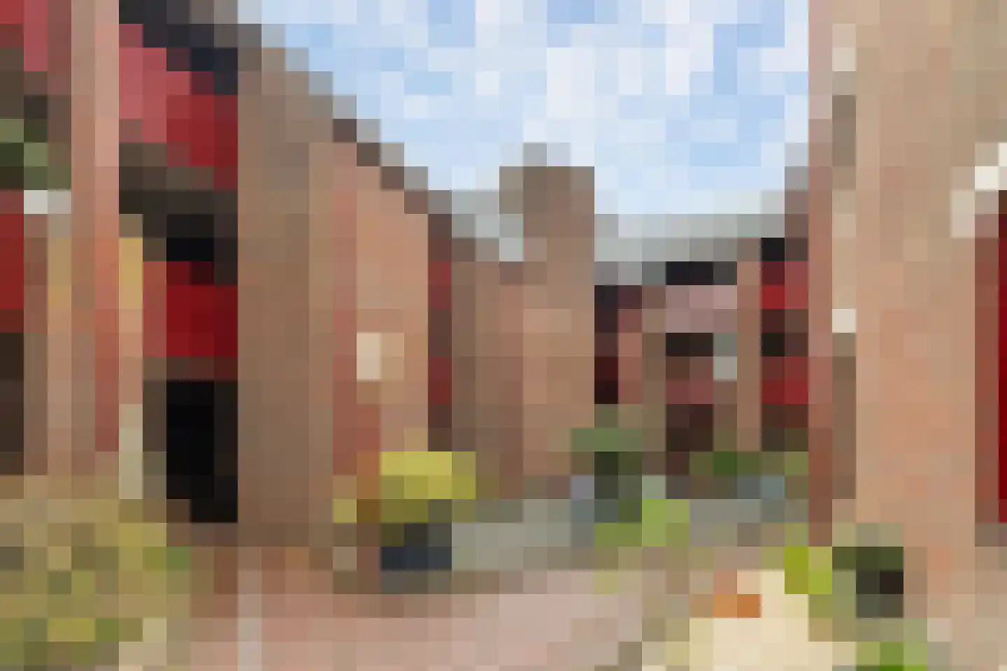 Zaailand 4 b Leeuwarden thumbnail 23