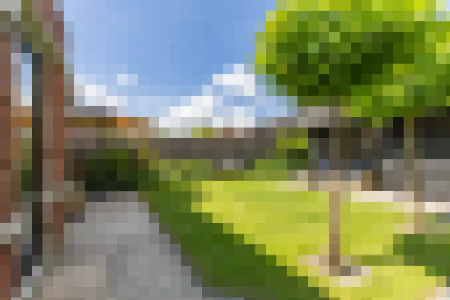 Zaailand 54 Drachten thumbnail 23