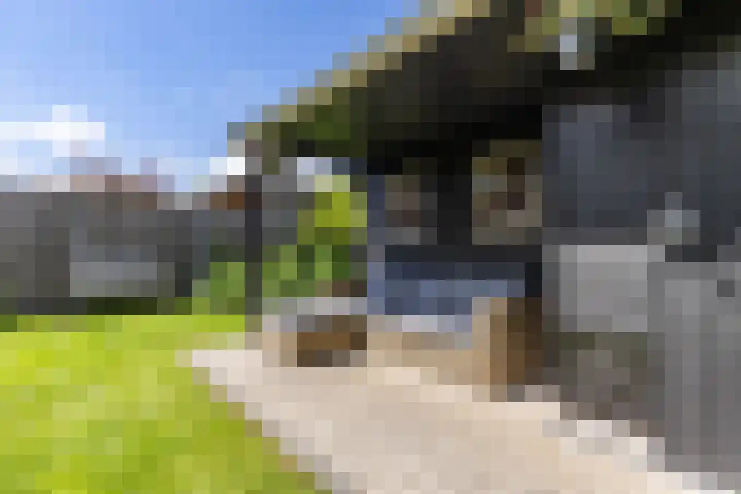 Zaailand 54 Drachten thumbnail 26
