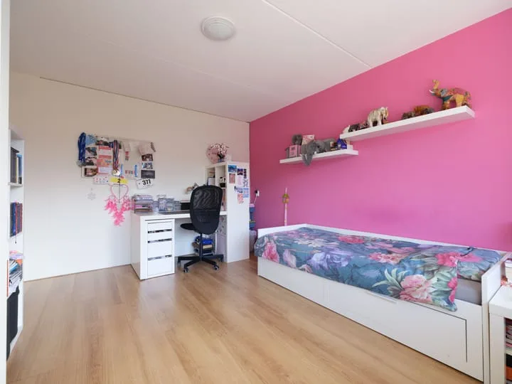 Zaailand 60 Drachten thumbnail 23