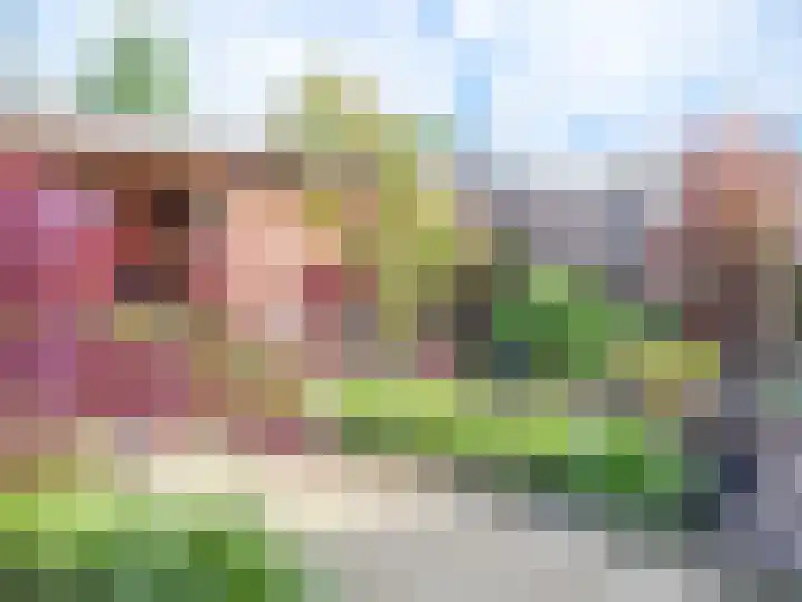 Zaailand 60 Drachten thumbnail 42
