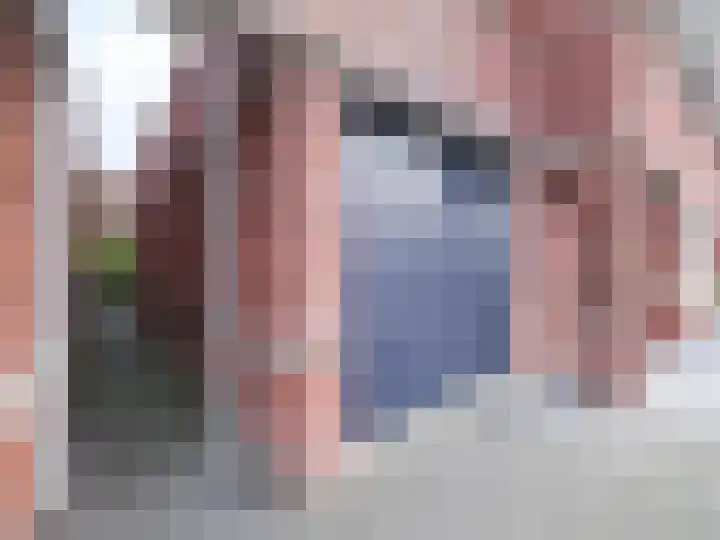 Zaailand 60 Drachten thumbnail 49