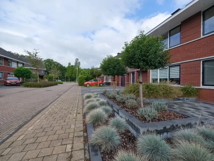 Zaailand 60 Drachten thumbnail 5