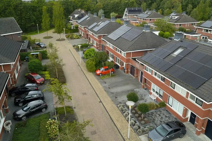 Zaailand 60 Drachten thumbnail 54