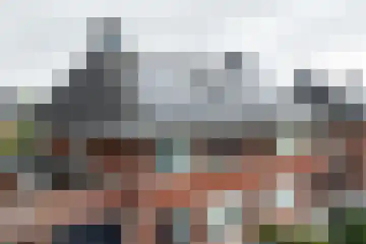 Zaailand 60 Drachten thumbnail 56
