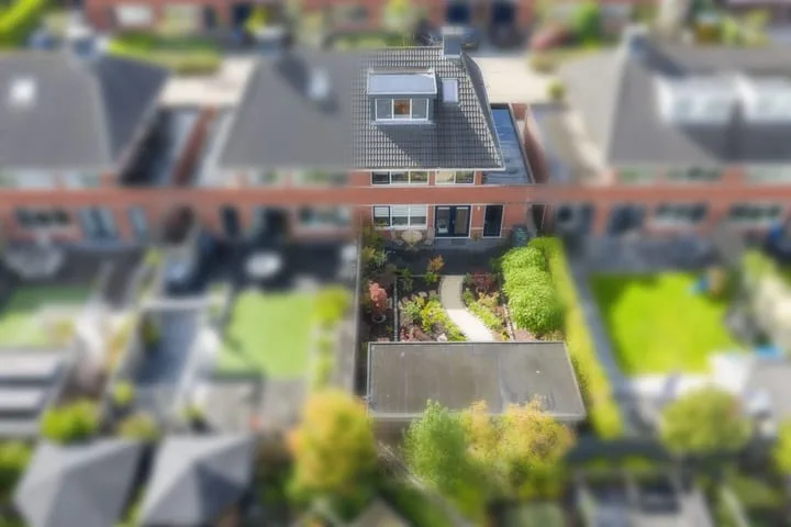 Zaailand 60 Drachten thumbnail 57