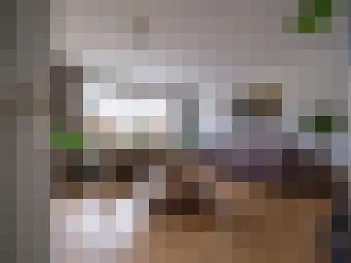 Zaailand 60 Drachten thumbnail 8