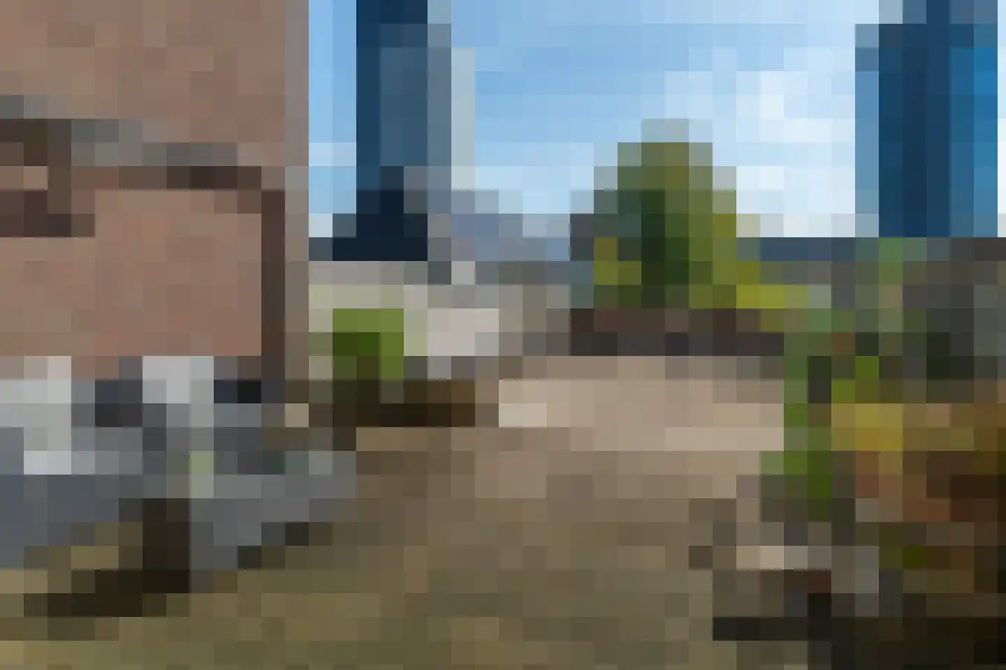 Zaailand 72 d Leeuwarden thumbnail 22