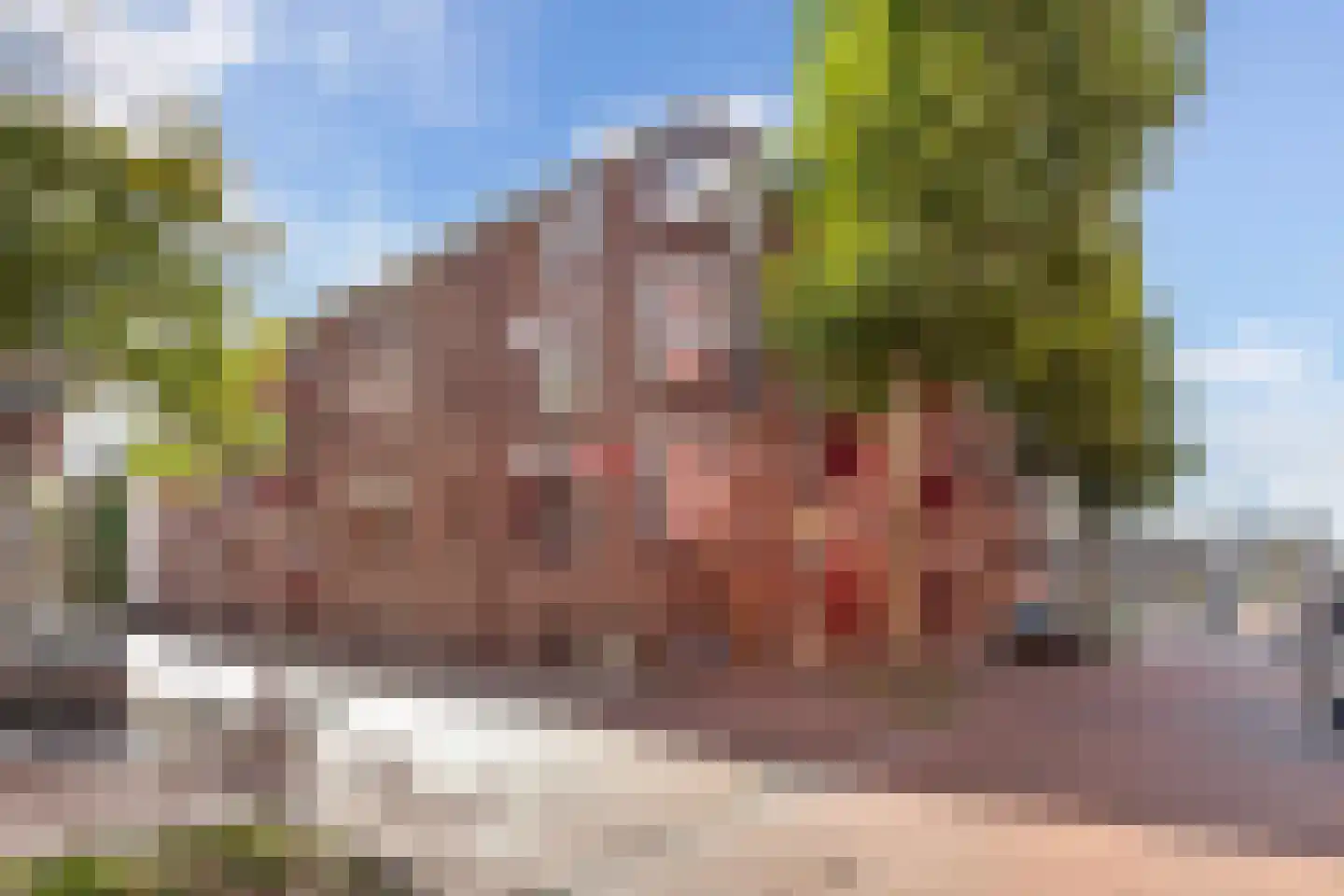 Zaailand 8 b Leeuwarden thumbnail 10