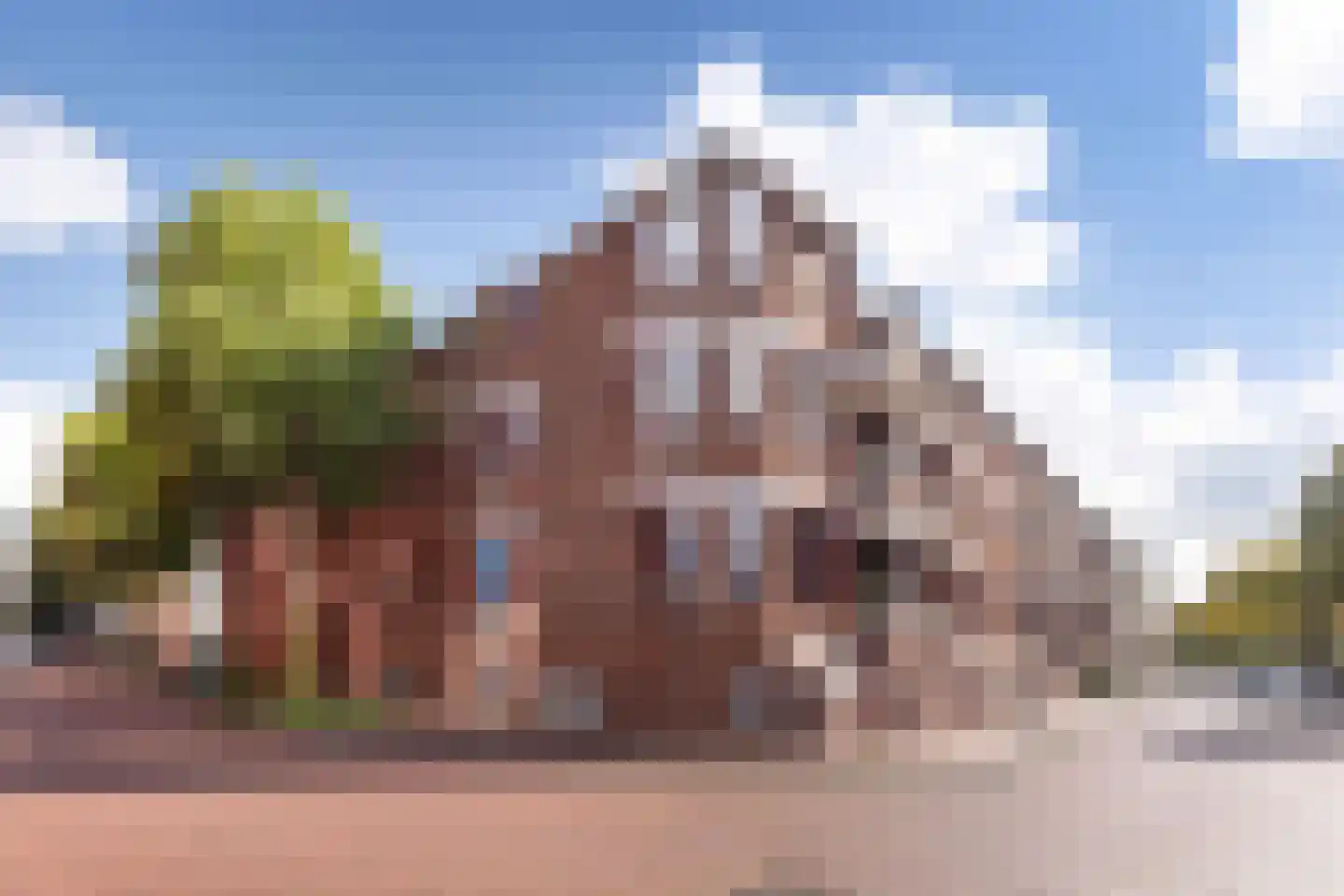 Zaailand 8 b Leeuwarden thumbnail 9