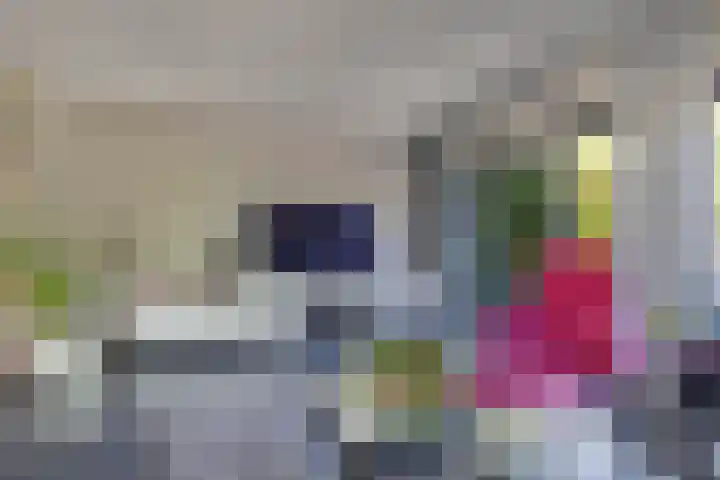 Zaailand 82 Drachten thumbnail 17