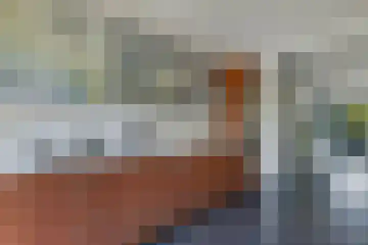 Zaailand 82 Drachten thumbnail 22