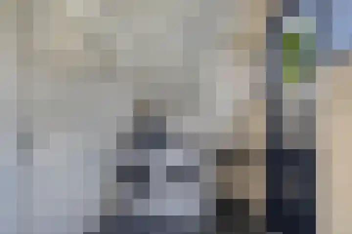 Zaailand 82 Drachten thumbnail 27
