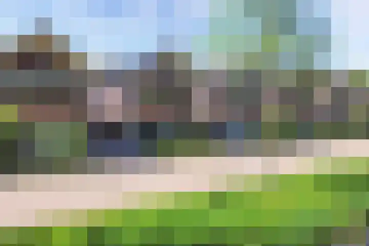 Zaailand 82 Drachten thumbnail 4