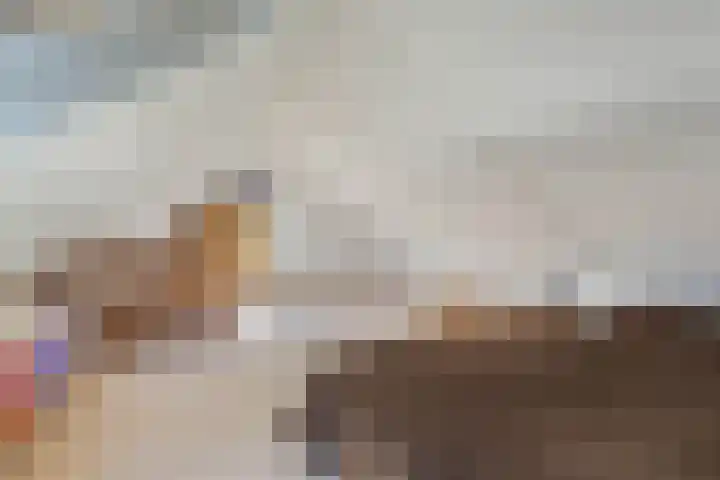 Zaailand 82 Drachten thumbnail 42