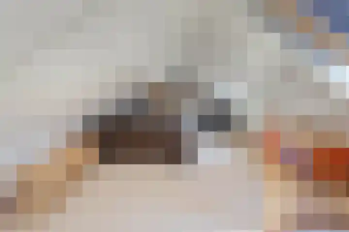 Zaailand 82 Drachten thumbnail 43