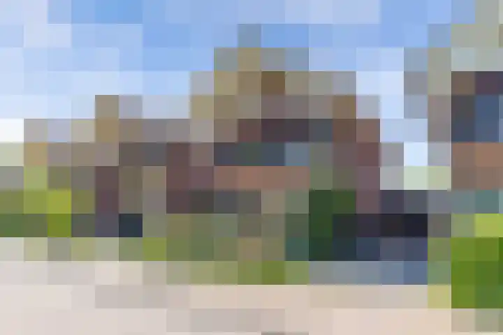 Zaailand 82 Drachten thumbnail 5