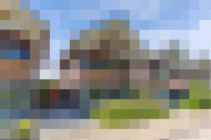 Zaailand 82 Drachten thumbnail 68