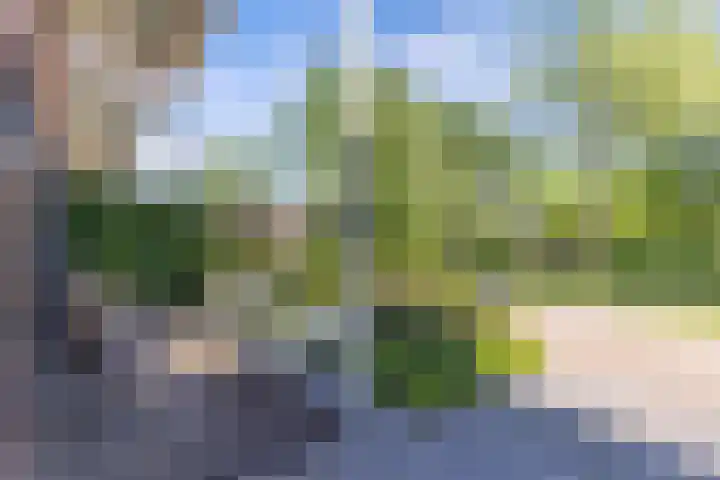Zaailand 82 Drachten thumbnail 9