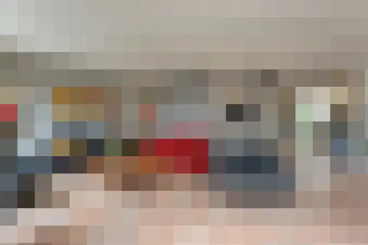 Zaaimansakker 27 Dedemsvaart thumbnail 11