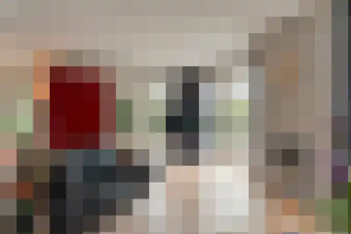 Zaaimansakker 27 Dedemsvaart thumbnail 12