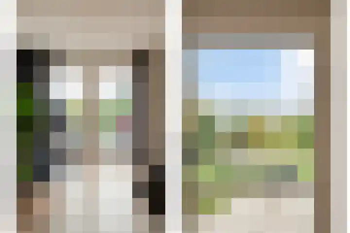 Zaaimansakker 27 Dedemsvaart thumbnail 13
