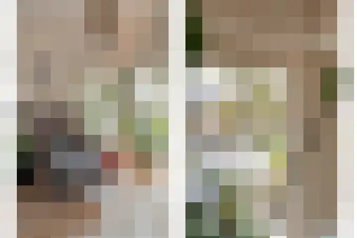Zaaimansakker 27 Dedemsvaart thumbnail 15