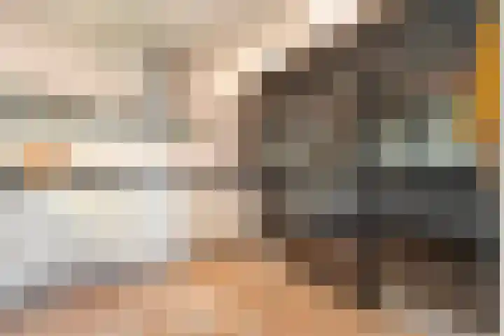 Zaaimansakker 27 Dedemsvaart thumbnail 17
