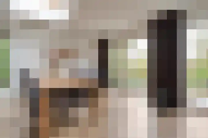 Zaaimansakker 27 Dedemsvaart thumbnail 21