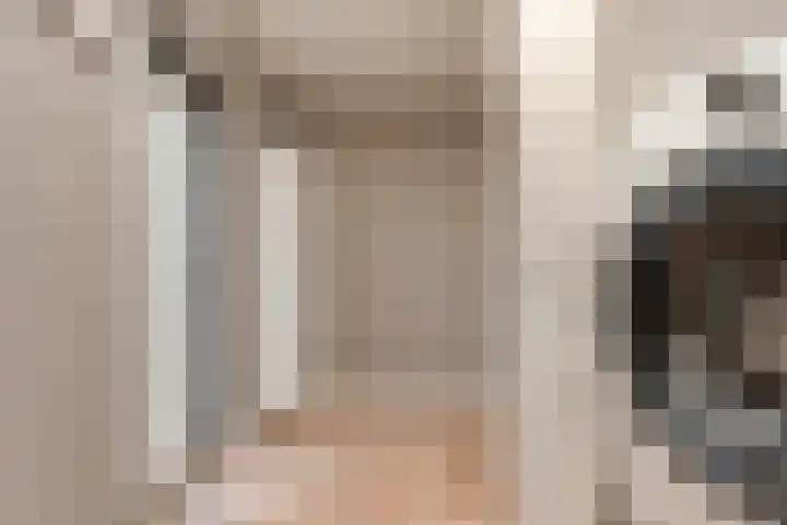 Zaaimansakker 27 Dedemsvaart thumbnail 28