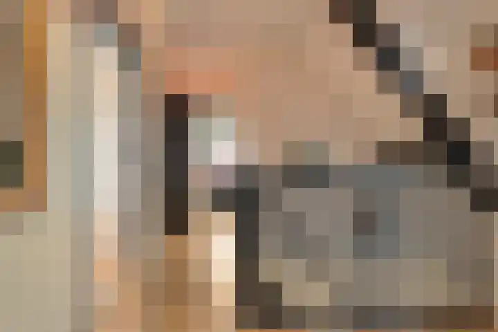Zaaimansakker 27 Dedemsvaart thumbnail 29