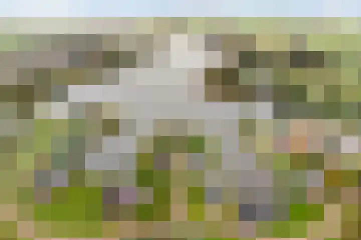 Zaaimansakker 27 Dedemsvaart foto 3
