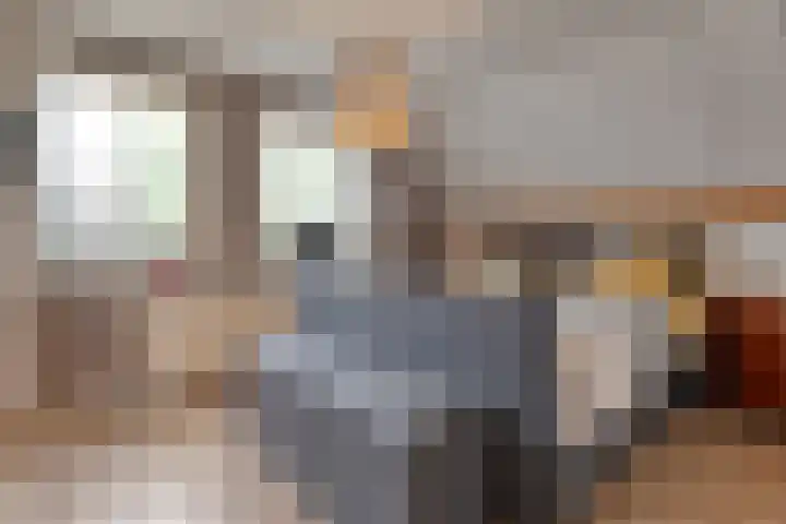 Zaaimansakker 27 Dedemsvaart thumbnail 32