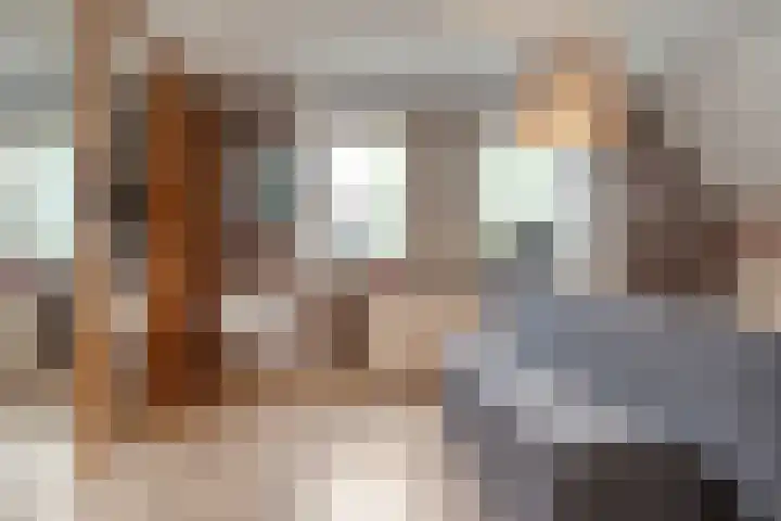 Zaaimansakker 27 Dedemsvaart thumbnail 33