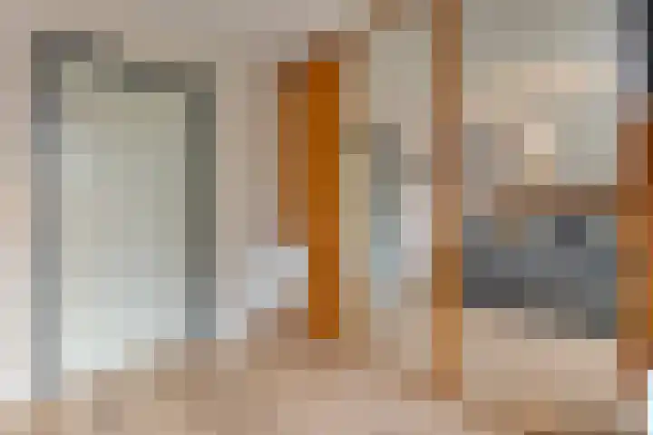Zaaimansakker 27 Dedemsvaart thumbnail 34