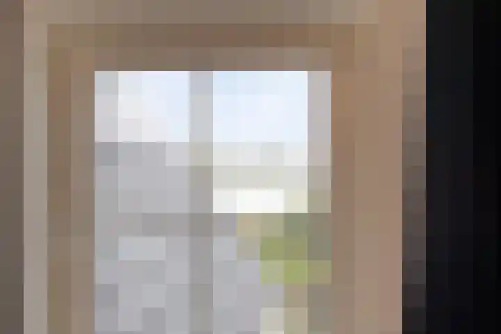 Zaaimansakker 27 Dedemsvaart thumbnail 37