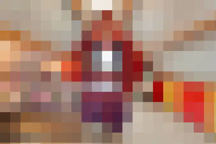 Zaaimansakker 27 Dedemsvaart thumbnail 38