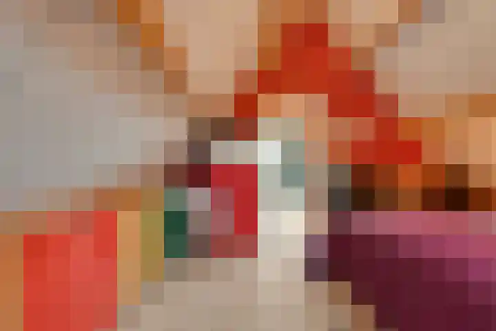 Zaaimansakker 27 Dedemsvaart thumbnail 40