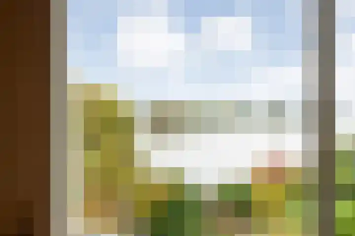 Zaaimansakker 27 Dedemsvaart thumbnail 41