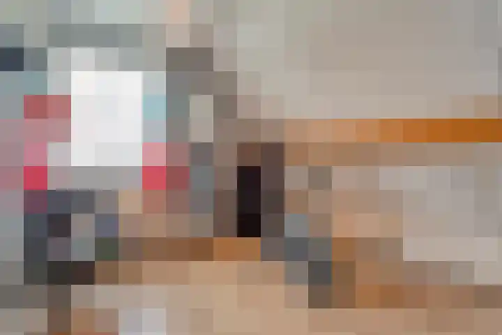 Zaaimansakker 27 Dedemsvaart thumbnail 42