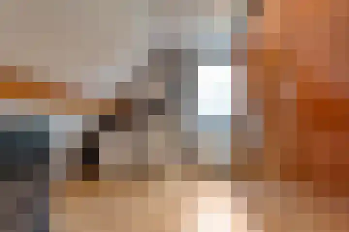 Zaaimansakker 27 Dedemsvaart thumbnail 45