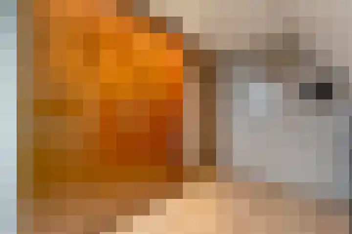 Zaaimansakker 27 Dedemsvaart thumbnail 46