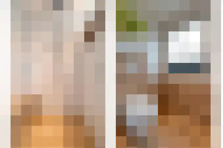 Zaaimansakker 27 Dedemsvaart thumbnail 48
