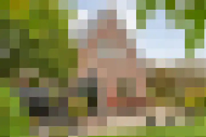 Zaaimansakker 27 Dedemsvaart thumbnail 5