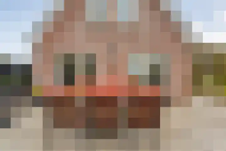 Zaaimansakker 27 Dedemsvaart thumbnail 53