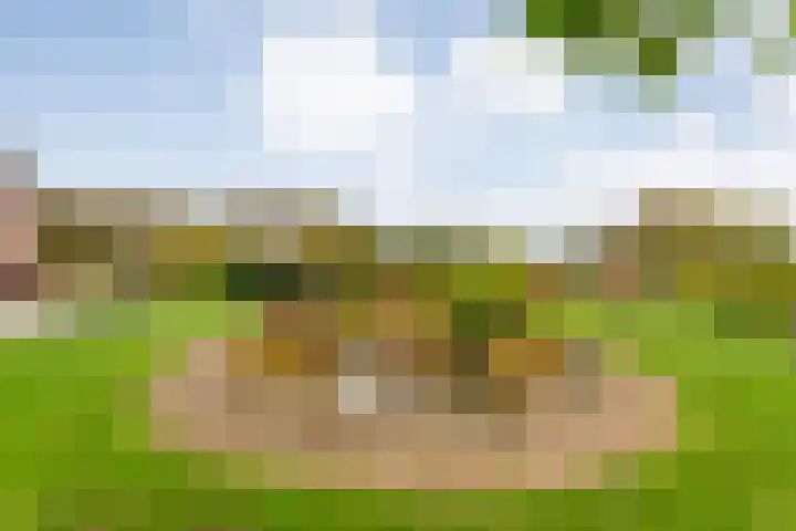 Zaaimansakker 27 Dedemsvaart thumbnail 57