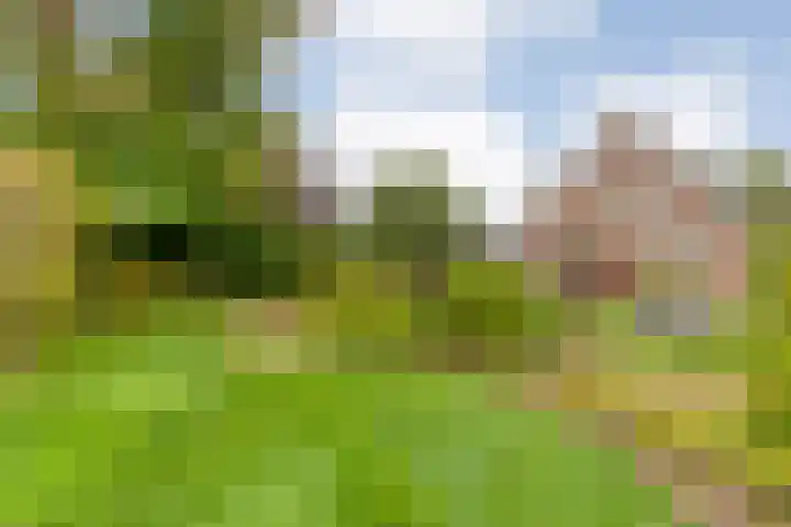 Zaaimansakker 27 Dedemsvaart thumbnail 60