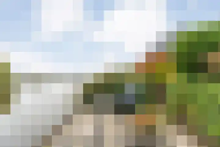 Zaaimansakker 27 Dedemsvaart thumbnail 61