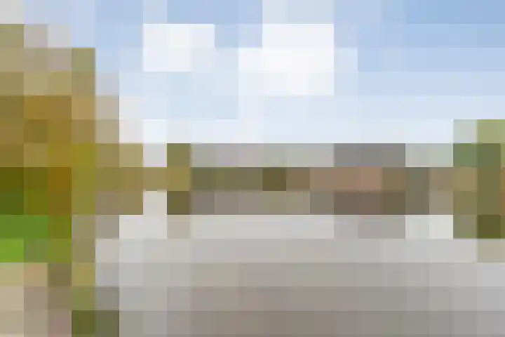 Zaaimansakker 27 Dedemsvaart thumbnail 62