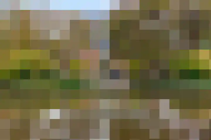Zaaimansakker 27 Dedemsvaart thumbnail 67